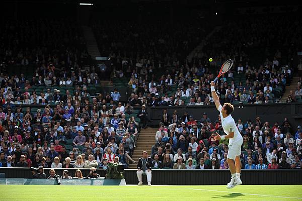 2013溫網 (Wimbledon Championships,2013) Before Final