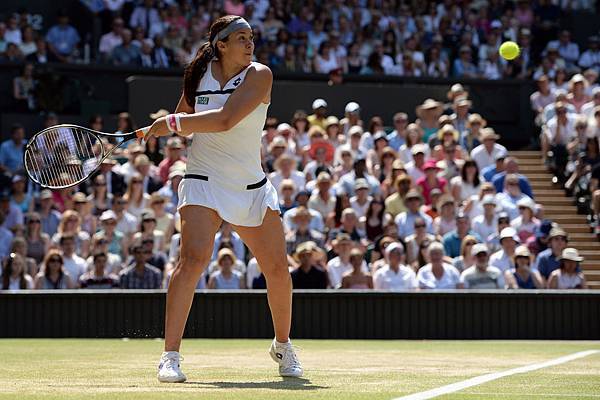 2013溫網 (Wimbledon Championships,2013) Final