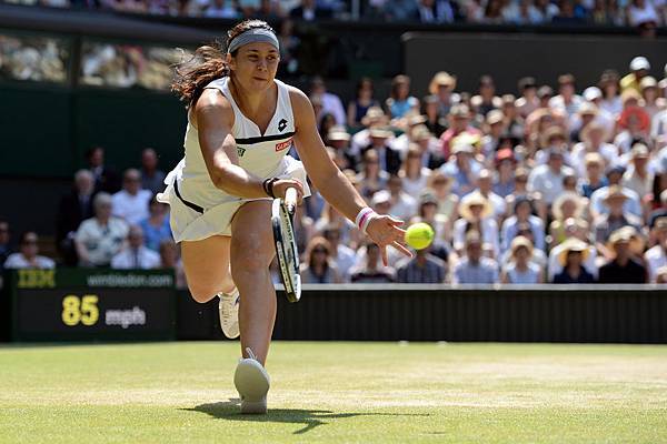 2013溫網 (Wimbledon Championships,2013) Final