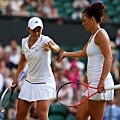 2013溫網 (Wimbledon Championships,2013) Final
