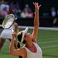 2013溫網 (Wimbledon Championships,2013) Final