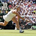 2013溫網 (Wimbledon Championships,2013) Final