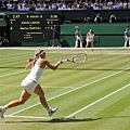 2013溫網 (Wimbledon Championships,2013) Final