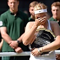 2013溫網 (Wimbledon Championships,2013) Final