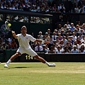 2013溫網 (Wimbledon Championships,2013) Final