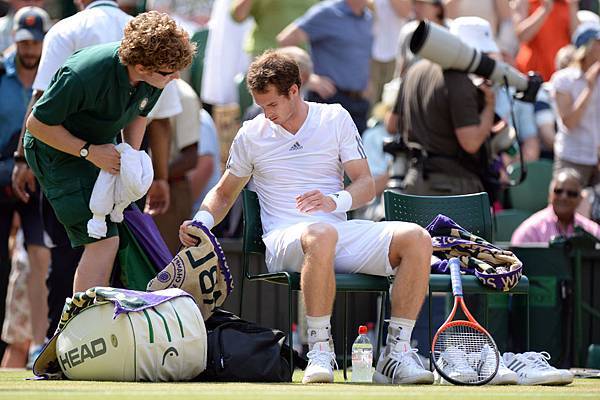 2013溫網 (Wimbledon Championships,2013) Final