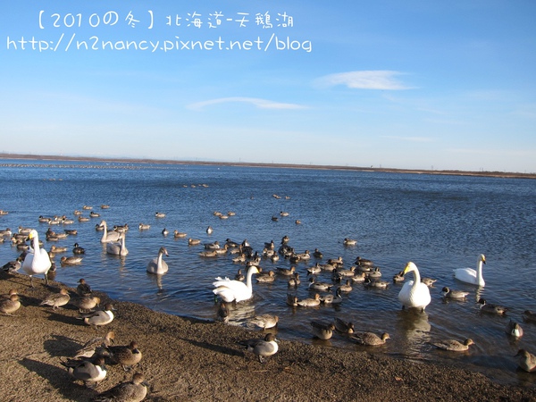 B6.jpg B6.jpg
