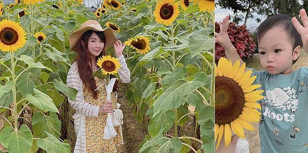 289306520_5633583653327066_602674184596463168_n.jpeg 289306520_5633583653327066_602674184596463168_n.jpeg