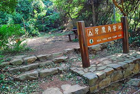 鳳凰徑第七段：大澳至狗嶺涌【18／12／2010】