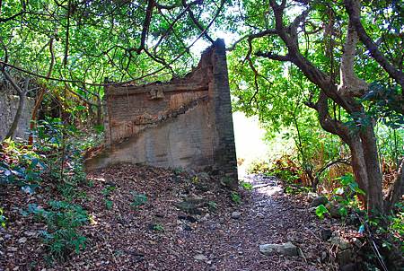 鳳凰徑第七段：大澳至狗嶺涌【18／12／2010】