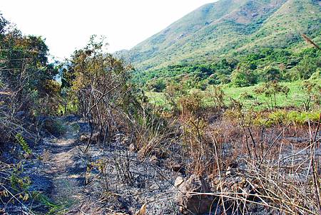 鳳凰徑第七段：大澳至狗嶺涌【18／12／2010】