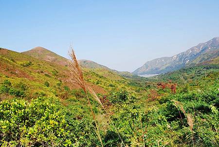 鳳凰徑第七段：大澳至狗嶺涌【18／12／2010】