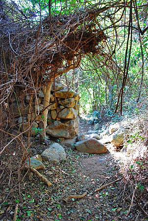 鳳凰徑第七段：大澳至狗嶺涌【18／12／2010】