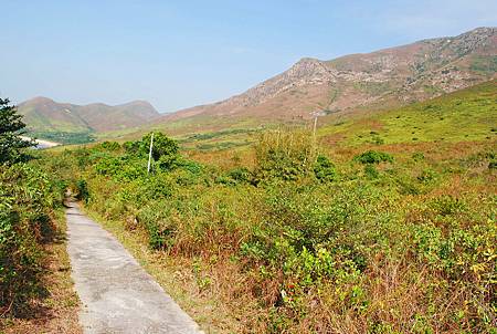 鳳凰徑第七段：大澳至狗嶺涌【18／12／2010】