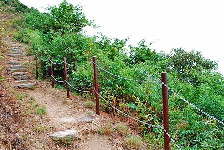 鳳凰徑第七段：大澳至狗嶺涌【18／12／2010】