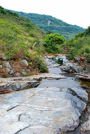鳳凰徑第七段：大澳至狗嶺涌【18／12／2010】