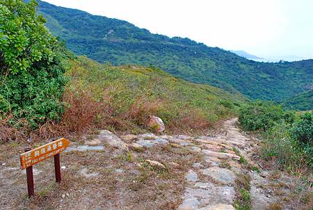 鳳凰徑第七段：大澳至狗嶺涌【18／12／2010】