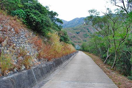 鳳凰徑第七段：大澳至狗嶺涌【18／12／2010】