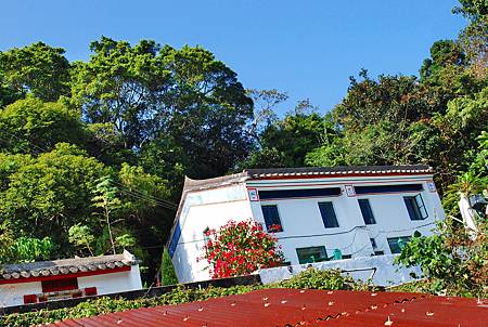 大灘郊遊徑【26/12/2010】 大灘郊遊徑【26/12/2010】