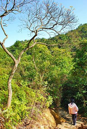 大灘郊遊徑【26/12/2010】 大灘郊遊徑【26/12/2010】