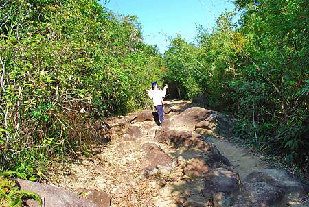 大灘郊遊徑【26/12/2010】 大灘郊遊徑【26/12/2010】