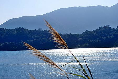 大灘郊遊徑【26/12/2010】 大灘郊遊徑【26/12/2010】