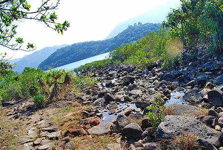 大灘郊遊徑【26/12/2010】 大灘郊遊徑【26/12/2010】