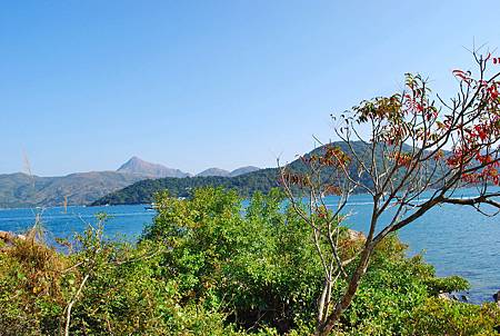 大灘郊遊徑【26/12/2010】 大灘郊遊徑【26/12/2010】