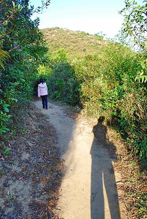 大灘郊遊徑【26/12/2010】 大灘郊遊徑【26/12/2010】