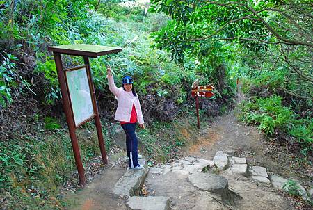 大灘郊遊徑【26/12/2010】 大灘郊遊徑【26/12/2010】