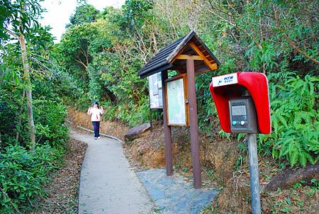 大灘郊遊徑【26/12/2010】 大灘郊遊徑【26/12/2010】