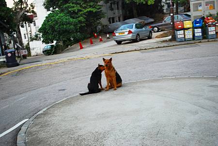 大灘郊遊徑【26/12/2010】 大灘郊遊徑【26/12/2010】