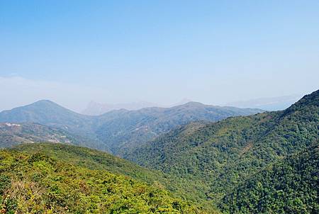 鹿湖郊遊徑【09/01/2011】 鹿湖郊遊徑【09/01/2011】