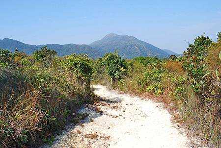 鹿湖郊遊徑【09/01/2011】 鹿湖郊遊徑【09/01/2011】