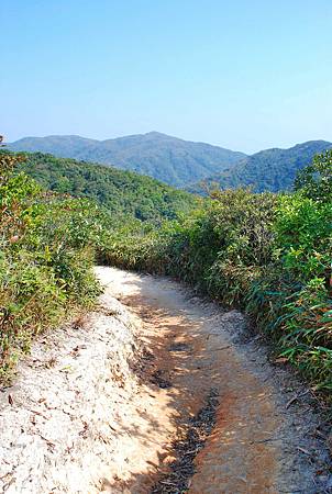 鹿湖郊遊徑【09/01/2011】 鹿湖郊遊徑【09/01/2011】