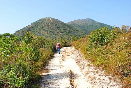 鹿湖郊遊徑【09/01/2011】 鹿湖郊遊徑【09/01/2011】