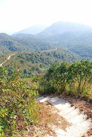 鹿湖郊遊徑【09/01/2011】 鹿湖郊遊徑【09/01/2011】