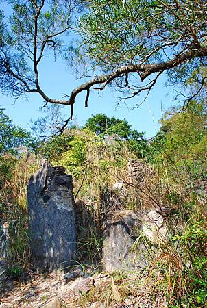 鹿湖郊遊徑【09/01/2011】 鹿湖郊遊徑【09/01/2011】