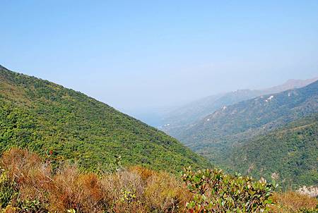 鹿湖郊遊徑【09/01/2011】 鹿湖郊遊徑【09/01/2011】