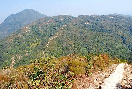 鹿湖郊遊徑【09/01/2011】 鹿湖郊遊徑【09/01/2011】