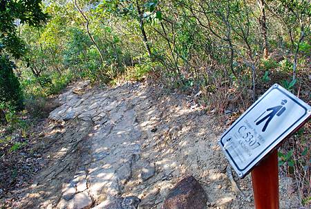 鹿湖郊遊徑【09/01/2011】 鹿湖郊遊徑【09/01/2011】