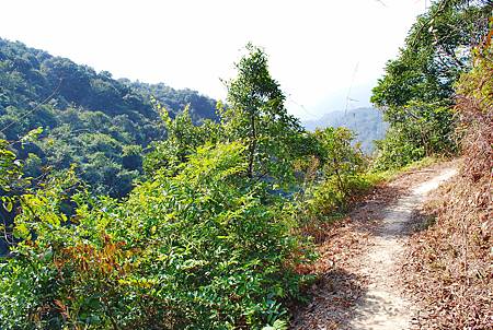 鹿湖郊遊徑【09/01/2011】 鹿湖郊遊徑【09/01/2011】