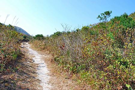 鹿湖郊遊徑【09/01/2011】 鹿湖郊遊徑【09/01/2011】