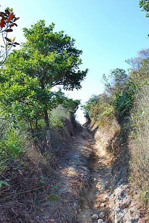 鹿湖郊遊徑【09/01/2011】 鹿湖郊遊徑【09/01/2011】
