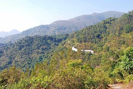 鹿湖郊遊徑【09/01/2011】 鹿湖郊遊徑【09/01/2011】