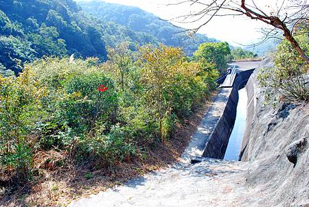 鹿湖郊遊徑【09/01/2011】 鹿湖郊遊徑【09/01/2011】