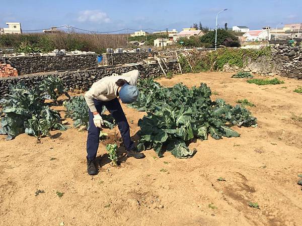 50822395_2300128326925684_4302812461788037120_n.jpg 50822395_2300128326925684_4302812461788037120_n.jpg