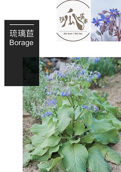 IMG_9005.JPG 試用