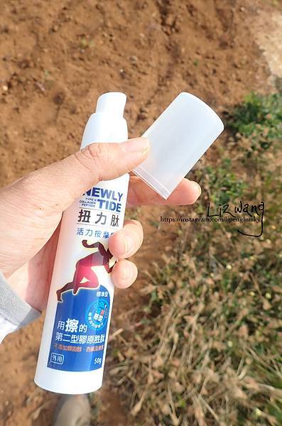 P3092287拷貝.jpg 試用