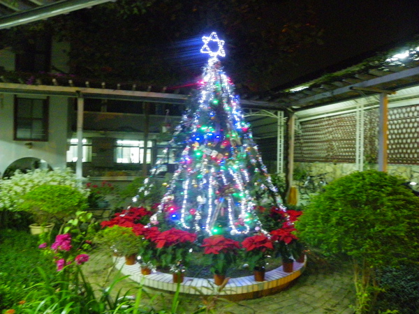 閃亮的聖誕樹.jpg